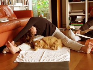 yoga_katze